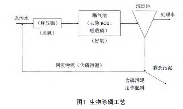 含磷废水处理工艺